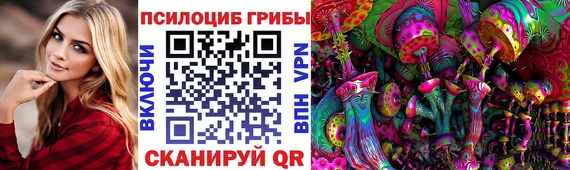 Псилоцибиновые грибы Cubensis  Черногорск 