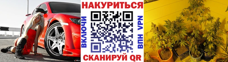 гидра вход  Черногорск  Бошки марихуана планчик 
