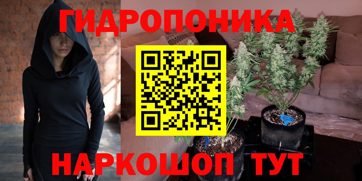 Бошки Шишки THC 21%  Канабис планчик  Вход с VPN  Черногорск  МАРИХУАНА план 